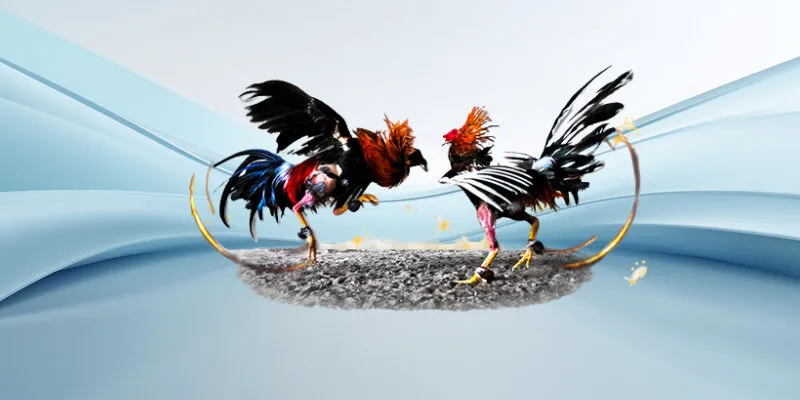 Tỷ lệ cược có thể thay đổi liên tục trước và trong trận đấu