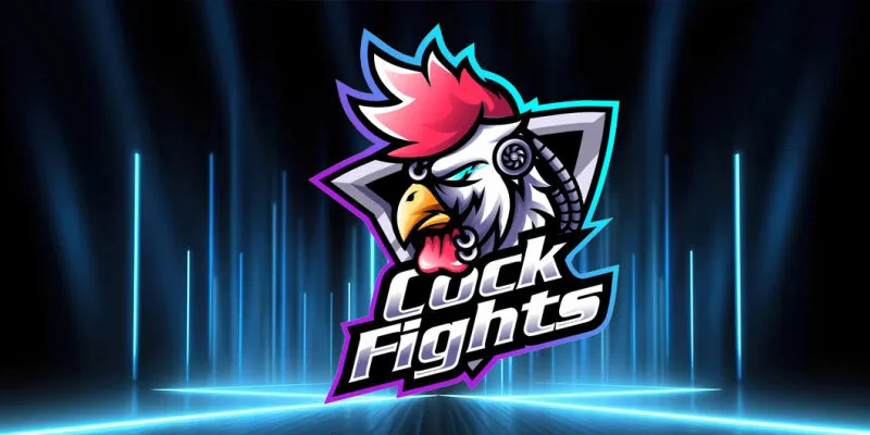 Đá gà không chỉ là một môn thể thao mà còn là một phần không thể thiếu