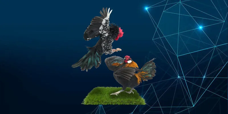 Đá gà online mở ra thế giới giải trí mới