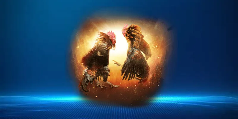 Chơi đá gà mang lại nhiều lợi ích và sự tiện lợi cho người chơi