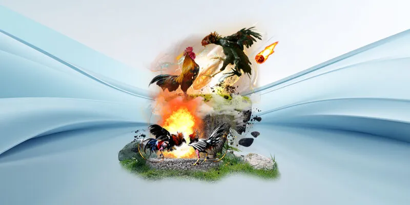 Nhà cái XOSO66 cung cấp các trận xem đá gà trực tiếp